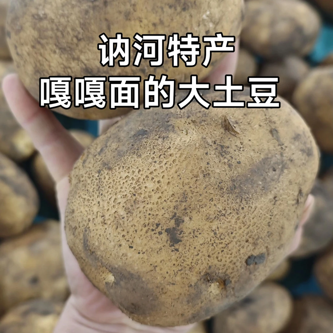 讷河嘎嘎面黄心土豆，一箱五斤，讷河产地直发