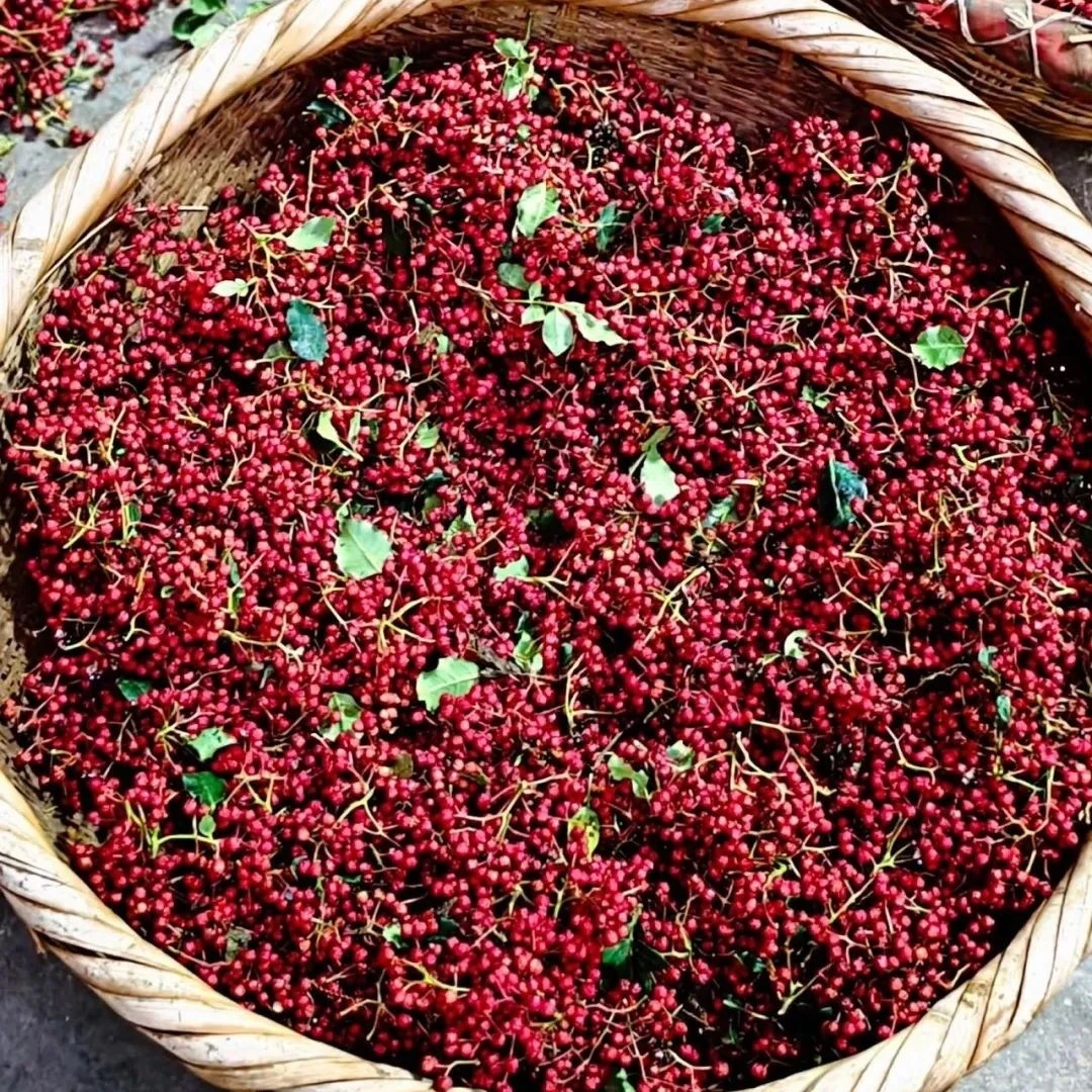 都党山区大红袍花椒