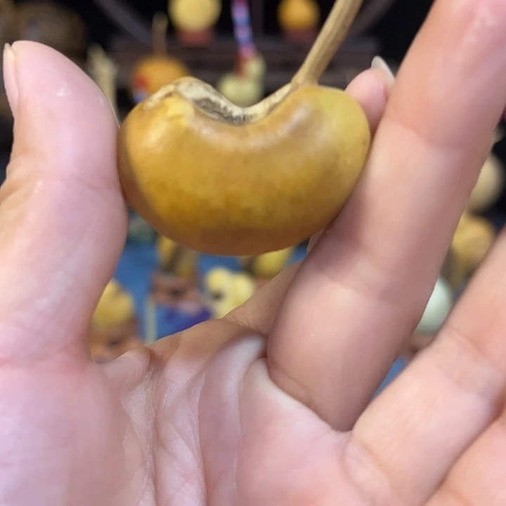 十***画大叶紫檀（黑酸枝木类）