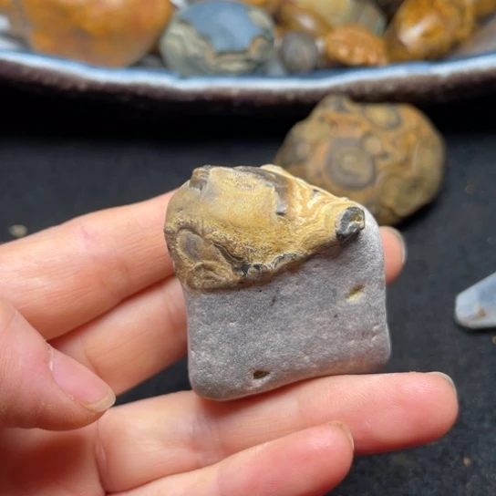 石材纯天然九眼页岩钱币石原石76