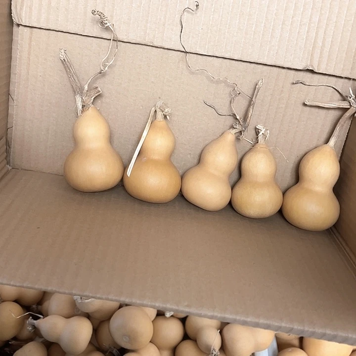 小美葫芦5个放漏通货价