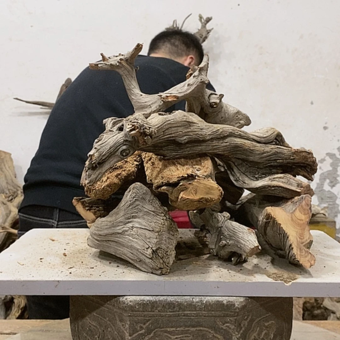 【闪购商品】柏木木****店我们都是好孩子