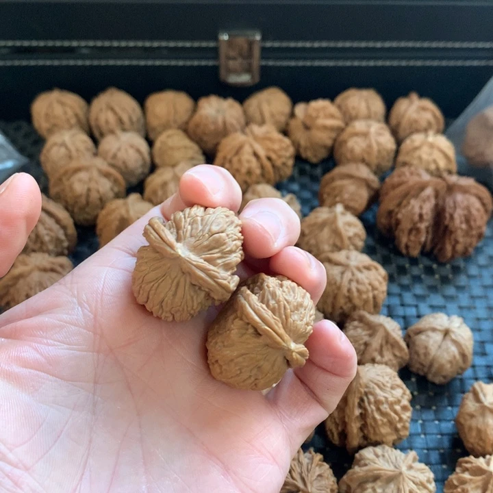 保***馆把件文玩核桃白狮子