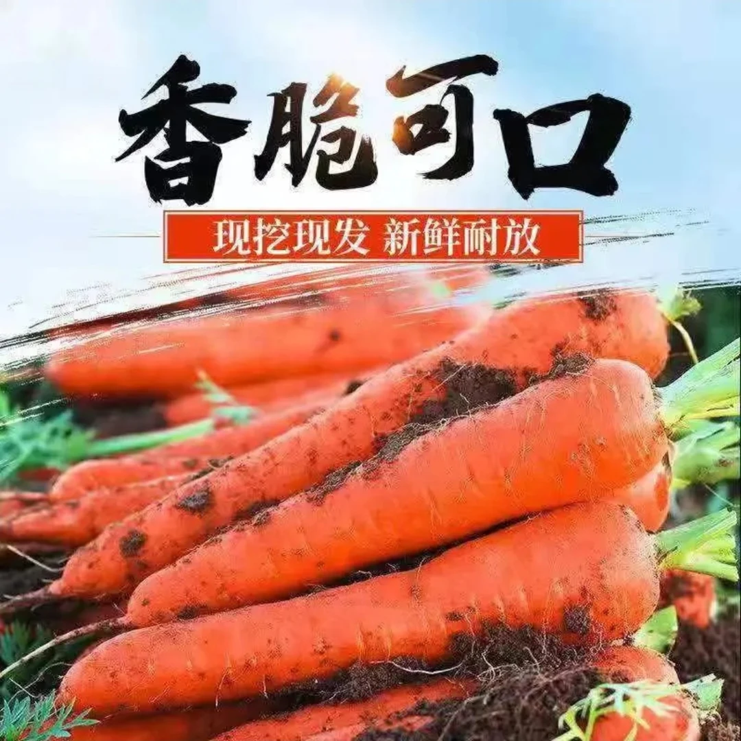 【618/3/5/9斤装】露天沙土地糖心胡萝卜脆甜可口产值直发宝宝辅食