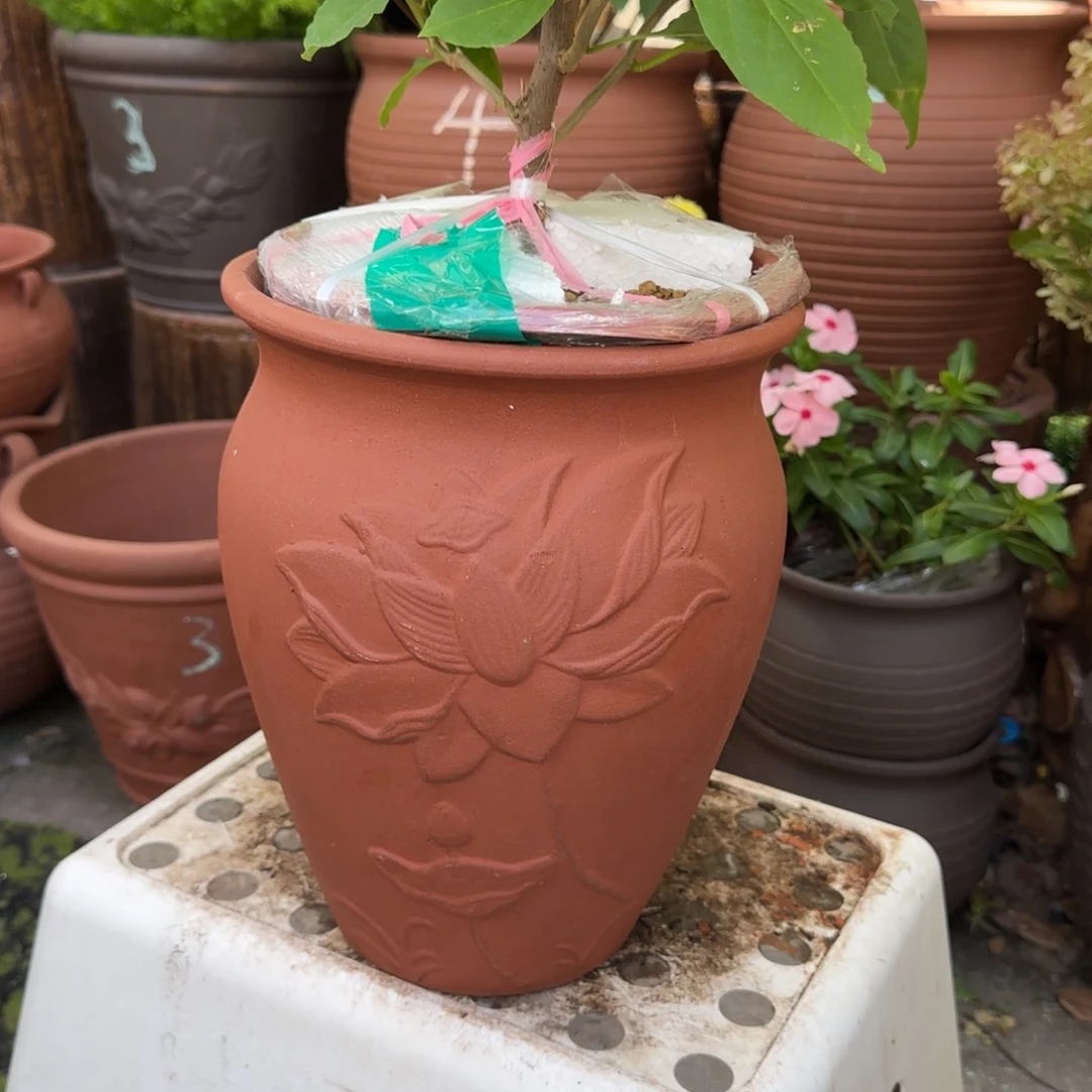 紫砂花盆口21高27宜兴紫砂