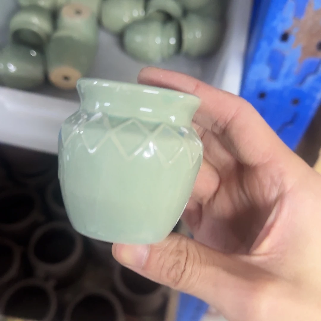 福利局绿植多肉盆［凑9元包邮24小时发］9040