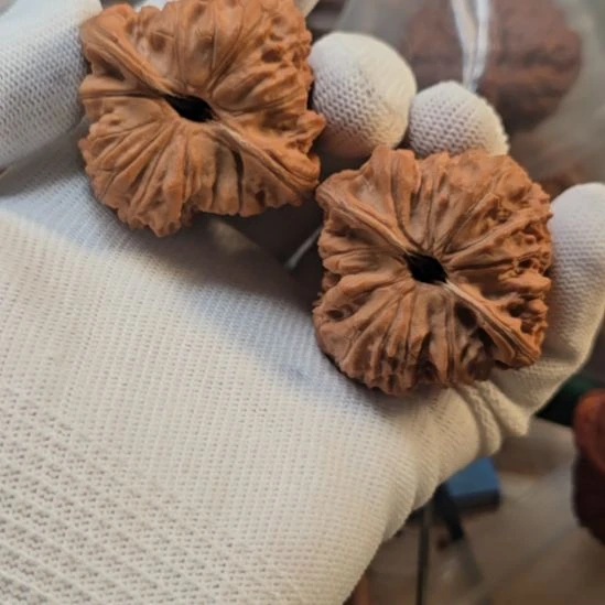 芃***已核桃手串/手链原树宽城狮子头