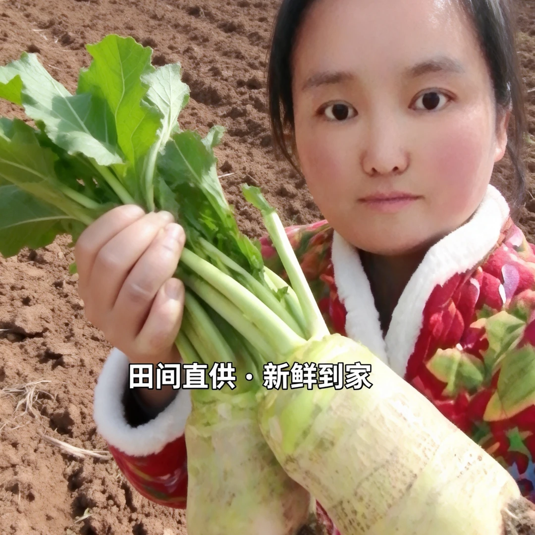 临泉芥菜疙瘩新鲜狮子头笨芥菜疙瘩辣菜疙瘩下饭菜做芥菜丝汆味
