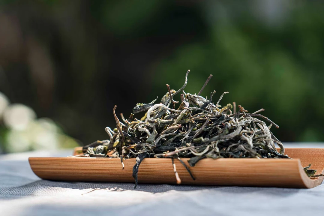 梅子箐2024年古树春茶100克散装