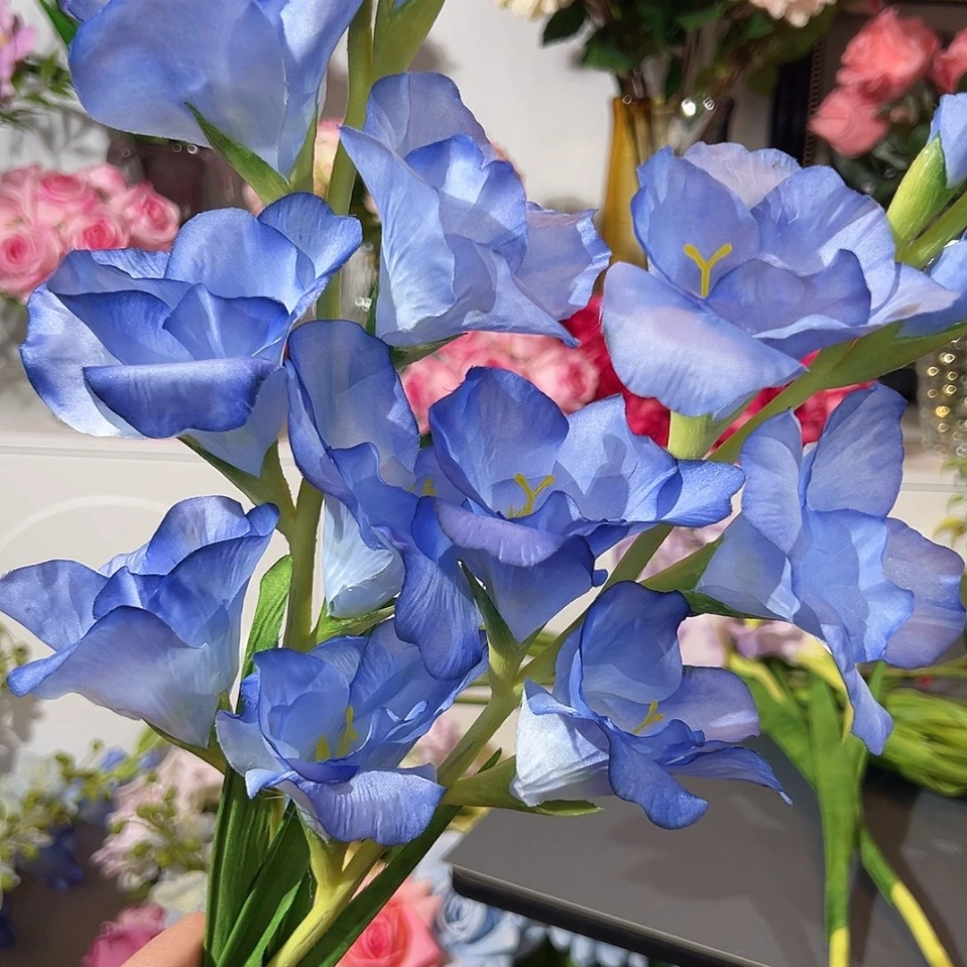 2枝蓝色剑兰花。
