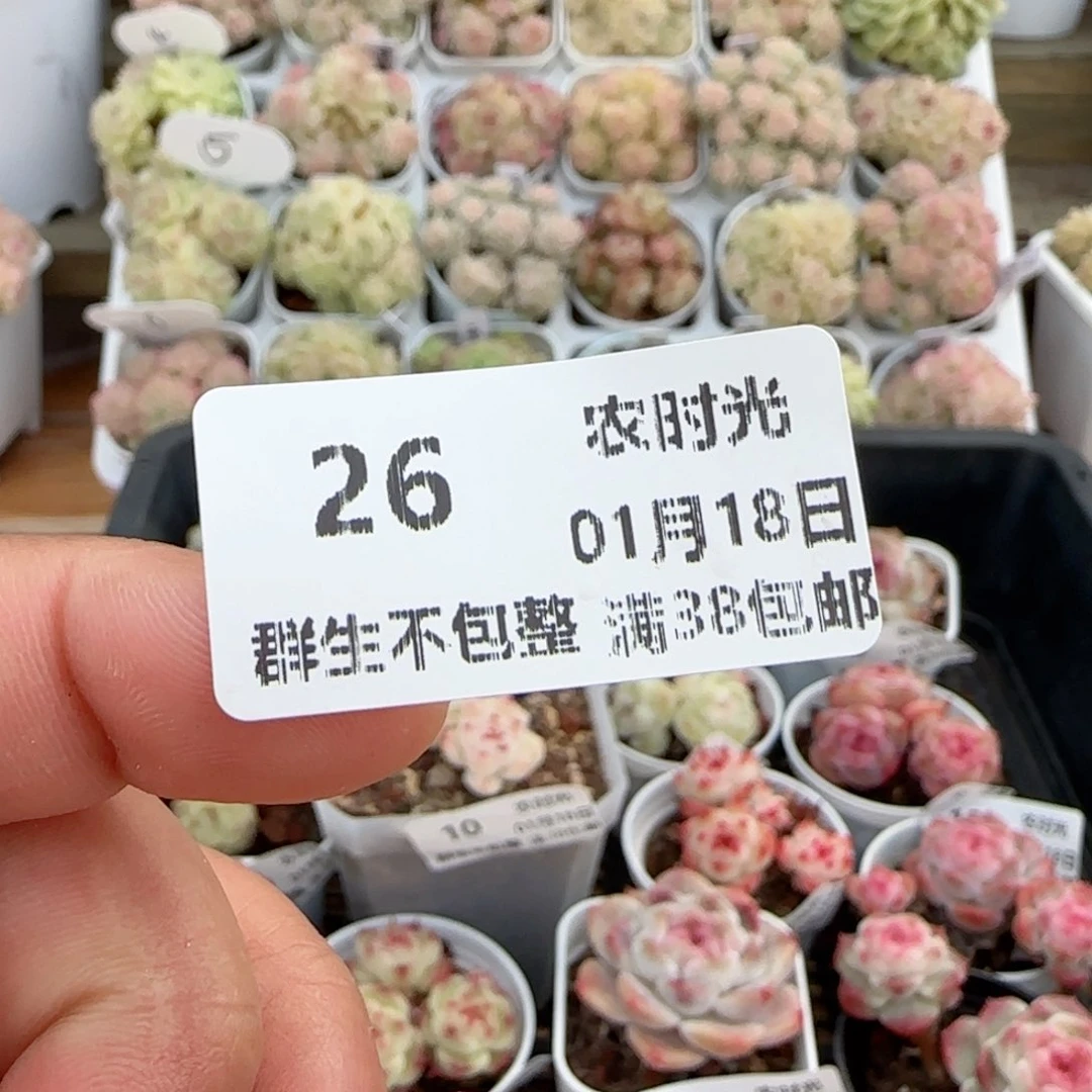 【闪购商品】0118-26保温箱