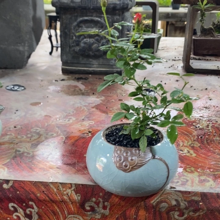 小***派无花朵退款拉黑拉黑86