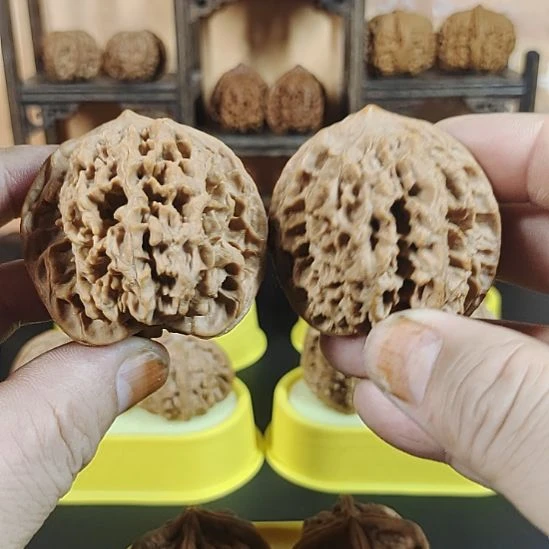 好好好好好好好好好好好