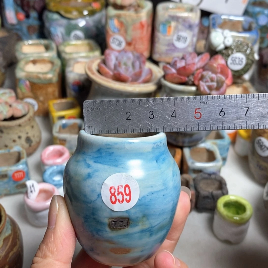 拍5送一个小礼物