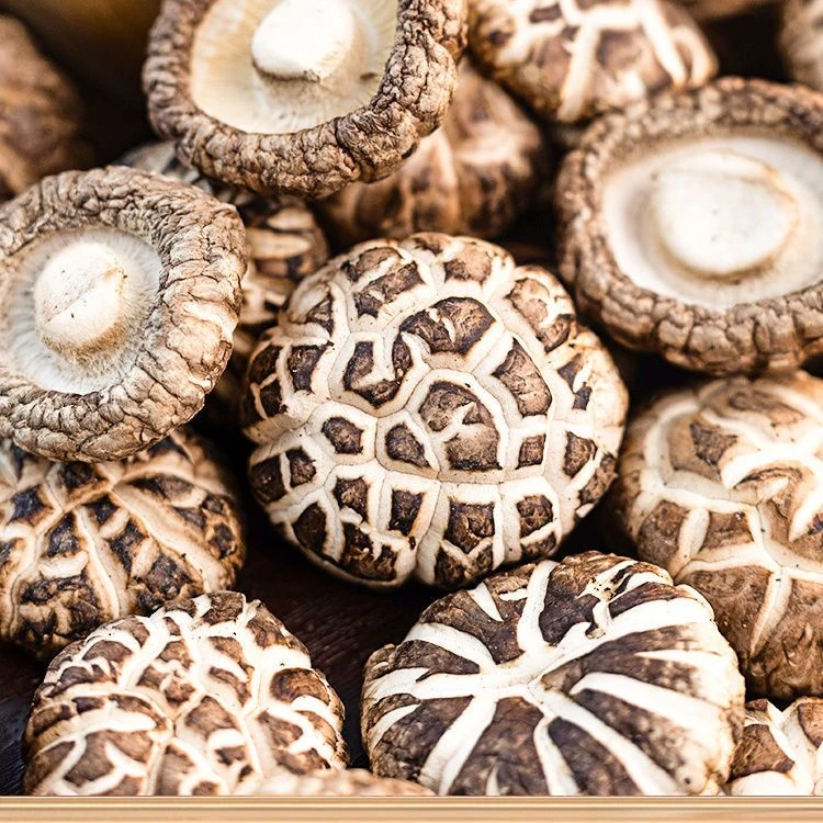 【艳子家白花菇】随州自家种植春栽花菇  干货香味浓  250g～500g