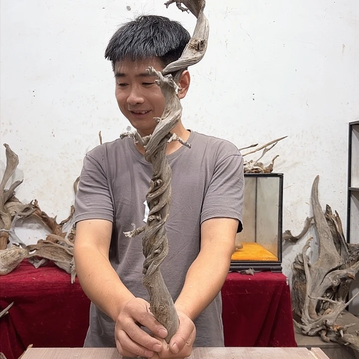 柏木和*我们的生活也会越来越美好吧