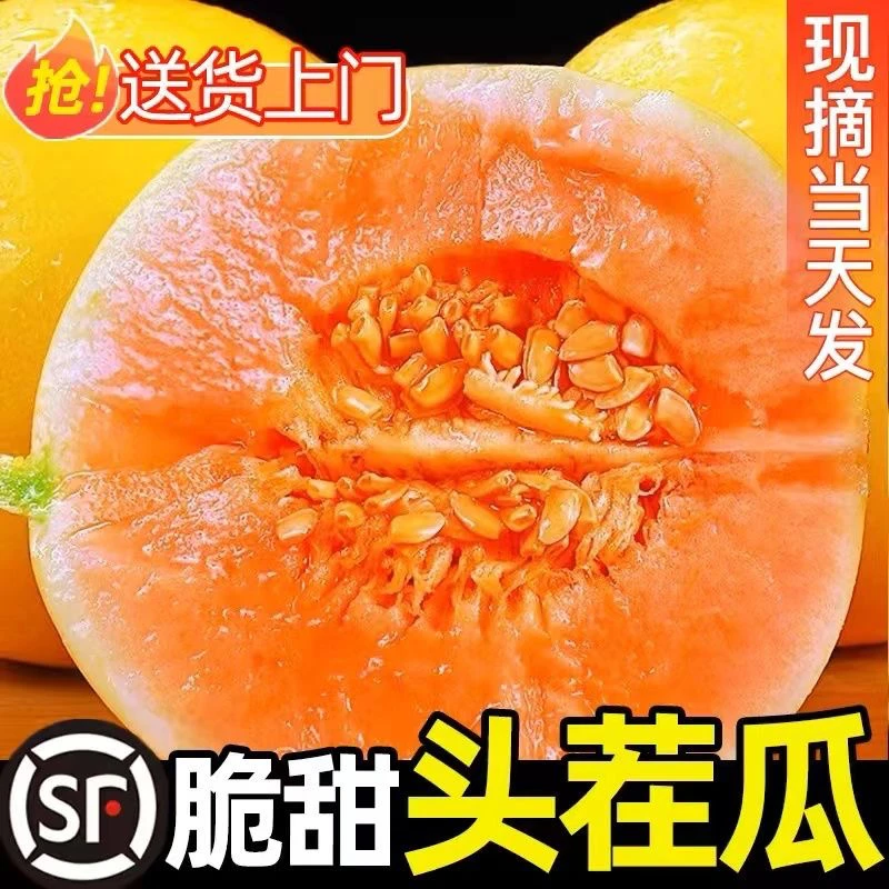 【顺丰包邮】头茬民勤沙漠黄河蜜瓜当季新鲜水果冰糖甜瓜香瓜整箱