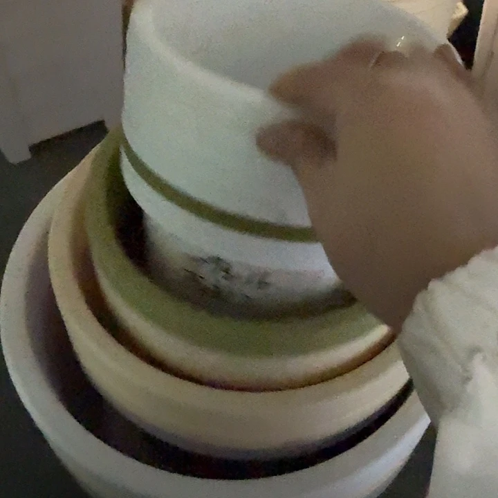 球根17口径10个无托白色