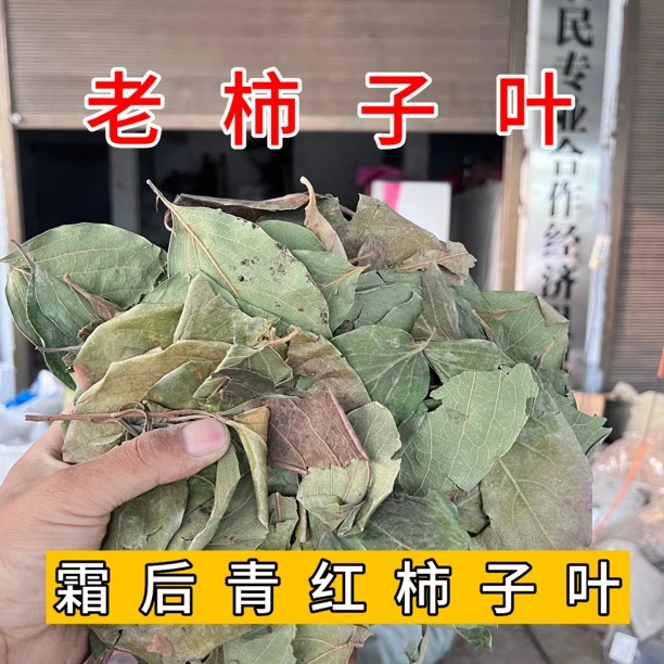 柿子叶 霜后精选柿子叶干货天然中药材泡茶健康养生