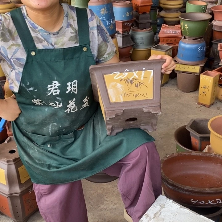 紫砂花盆盆栽花卉