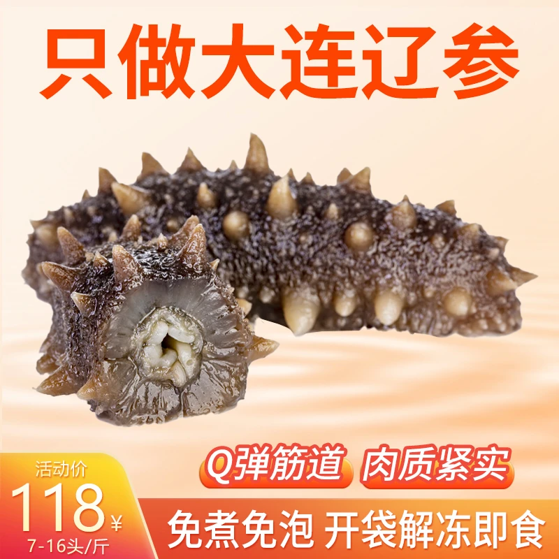 【4星品质 零添加】大连海参 筋道 化冻即食 源头工厂 7-16头/斤