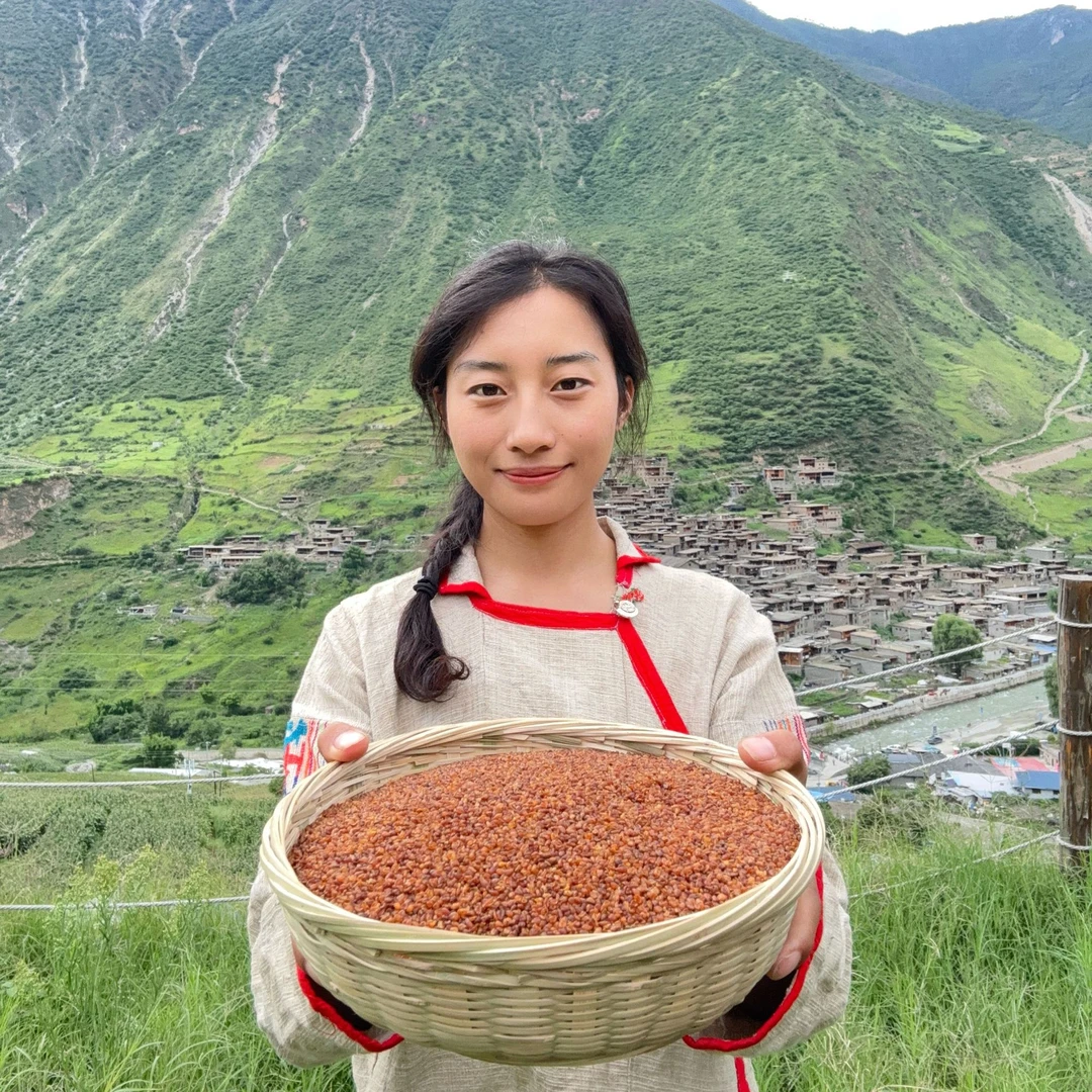途米分享四川大凉山黑苦荞胚芽茶 高海拔粗粮茶500克2罐