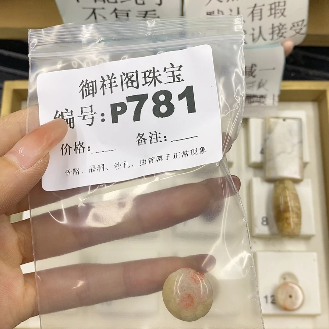 硅化珊瑚（珊瑚玉）未镶嵌颈饰高**水