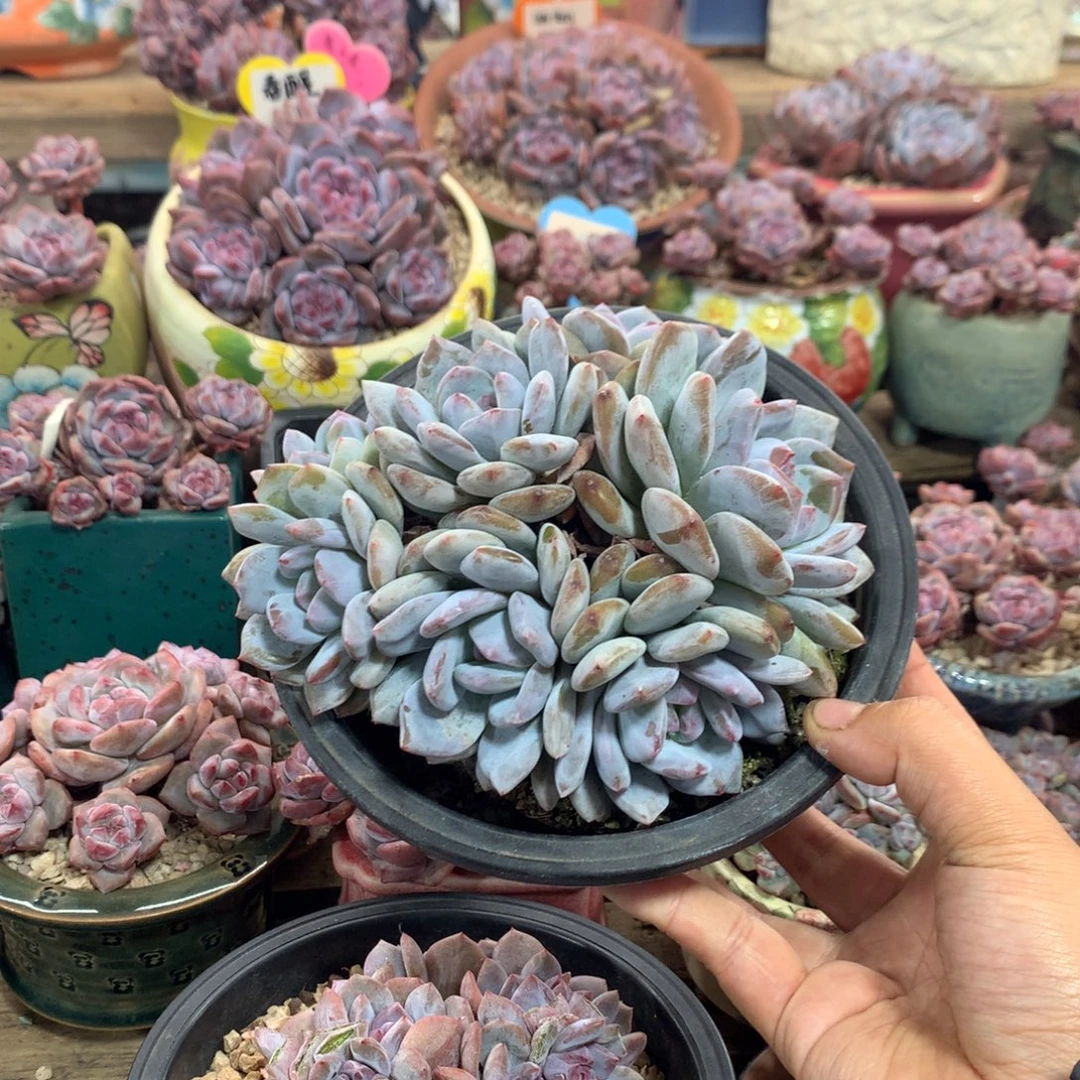 哈哈哈哈哈哈哈哈哈哈8