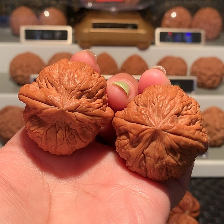 文玩核桃把件御尊