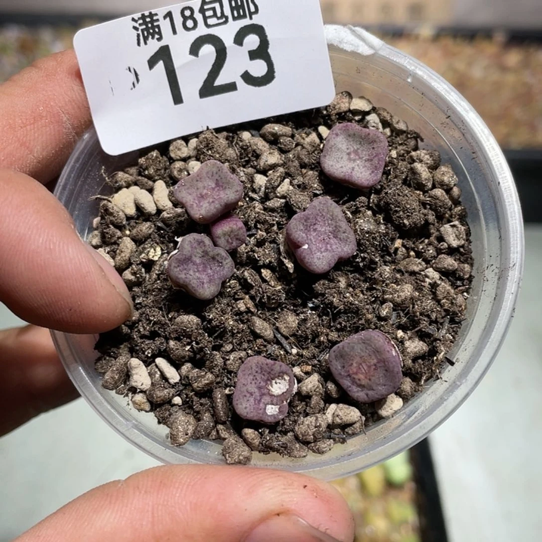 当天凑满十八元包邮123