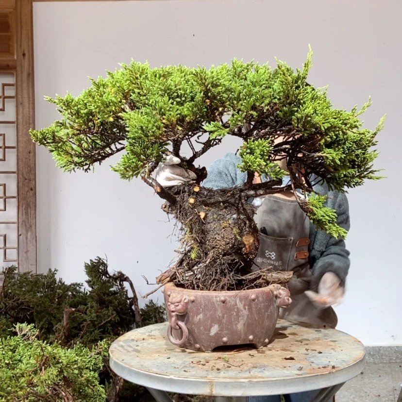 【闪购商品】完全开放李*春