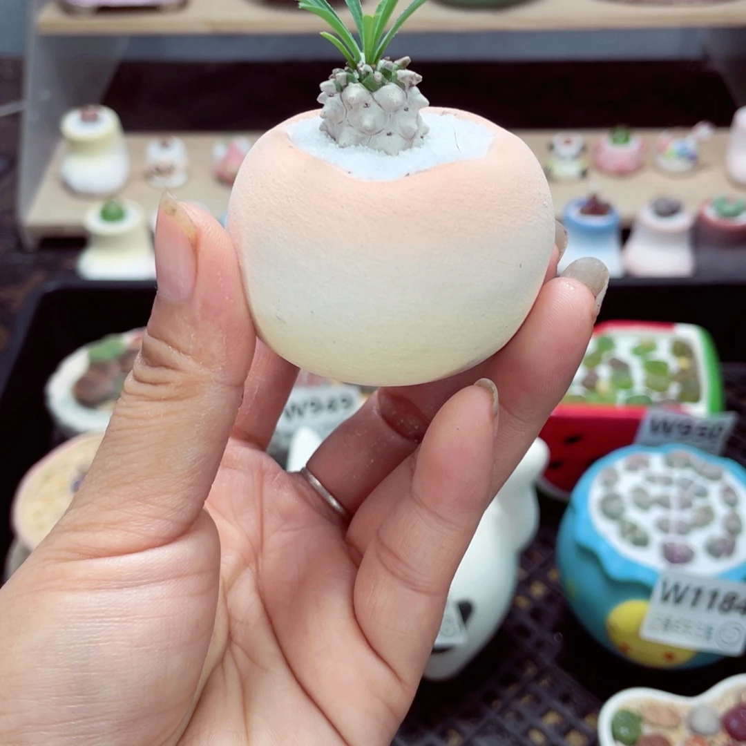 w1186 零下地区拍保温箱