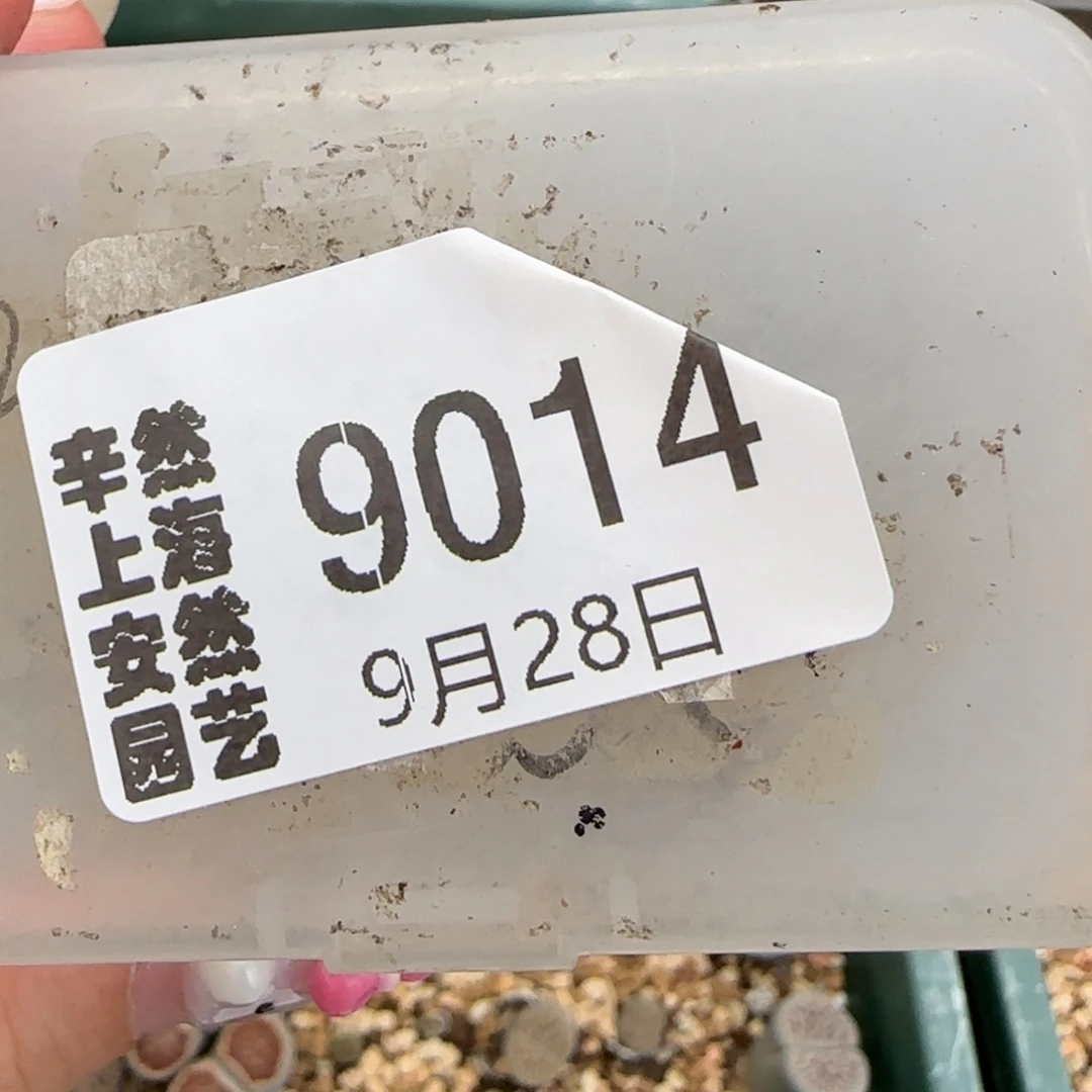 L****9.28。   最好安贞。  9014捡漏