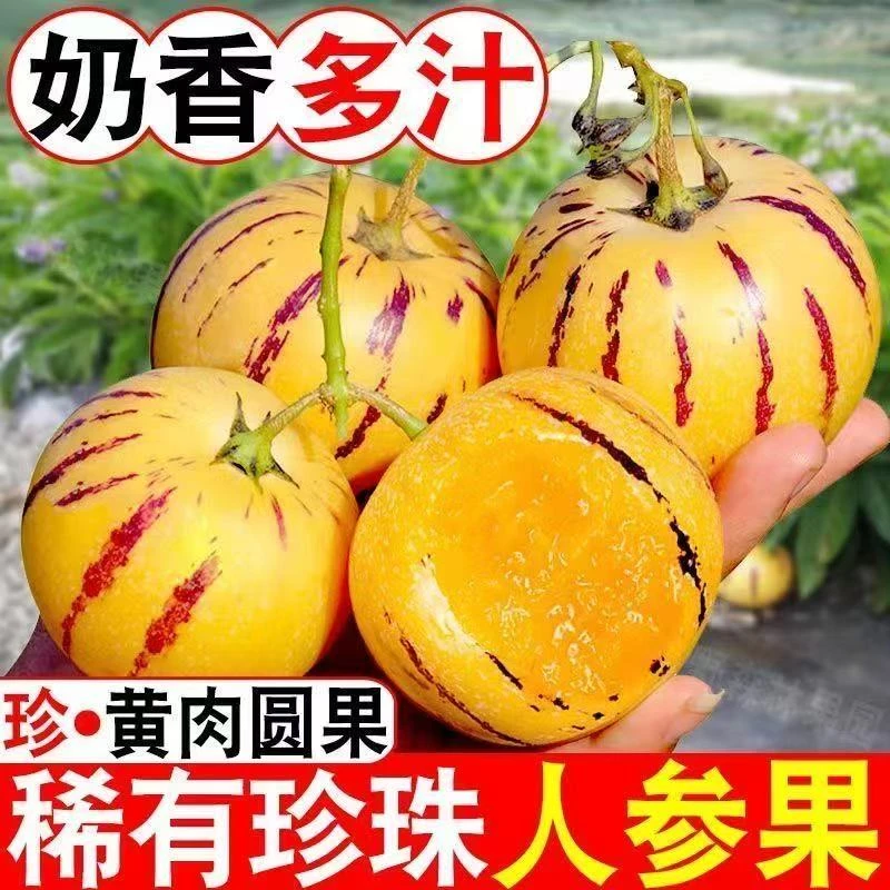 云南石林人参果 新鲜应季清甜水果Q1