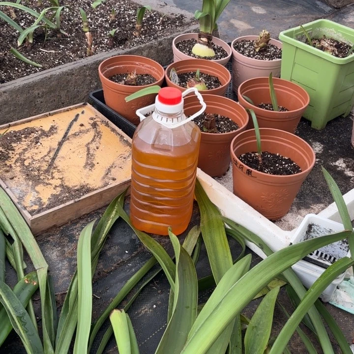 无花朵恩怡自榨纯花生油5斤