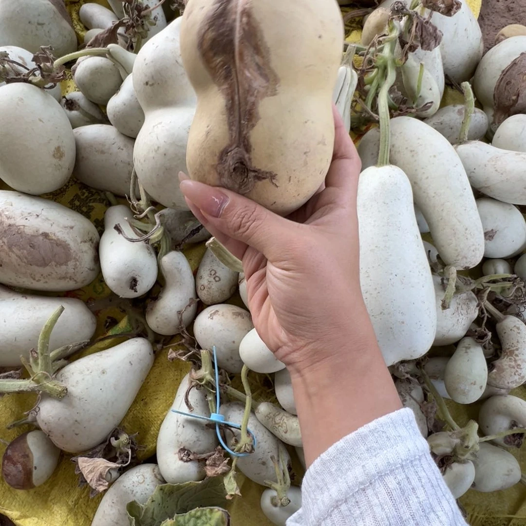 刘***人懂了吗我的天啊我的天我的天