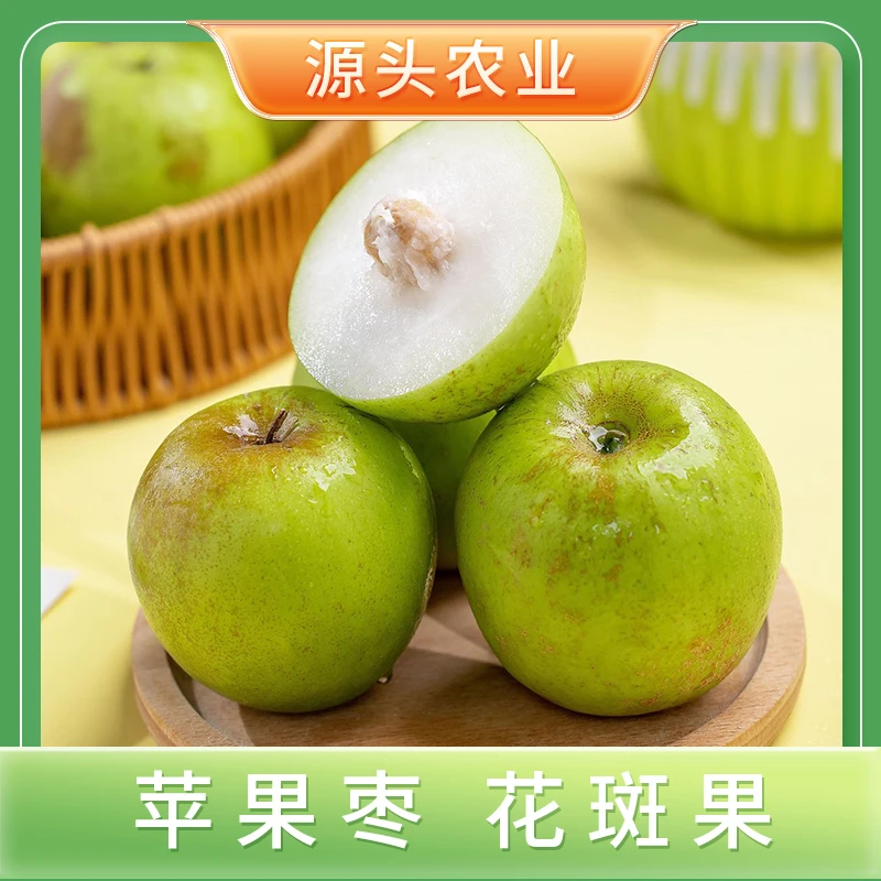 【苹果枣花斑果】新鲜水果苹果大青枣脆甜1/2/3斤装S