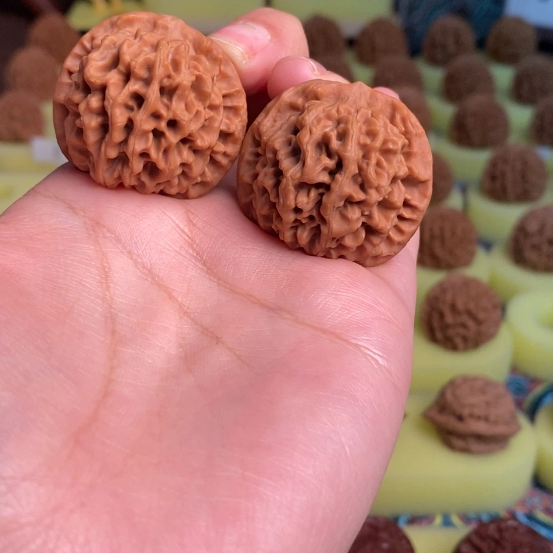 核桃秦岭闷尖狮子头34