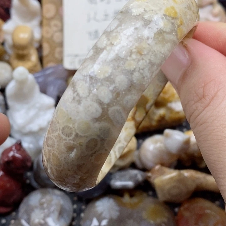 颈饰未镶嵌硅化珊瑚（珊瑚玉）有瑕 55