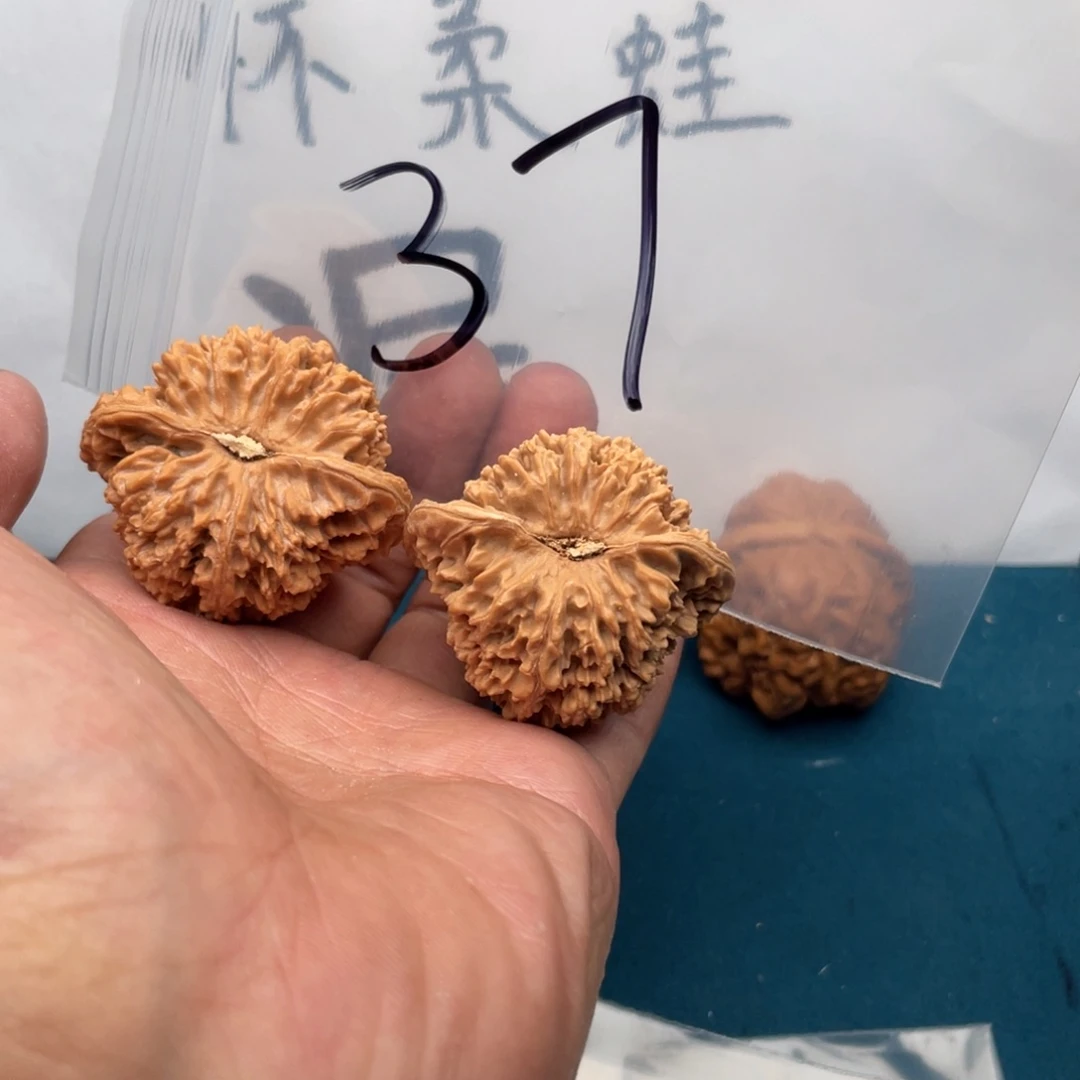 核桃手串/手链W369368368638683