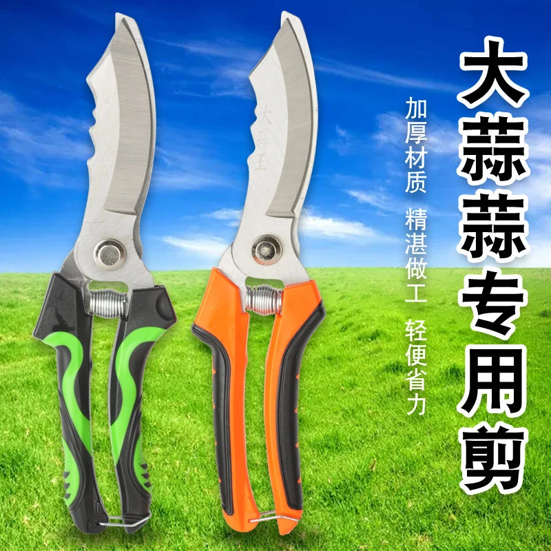 农用大蒜圆葱专用剪刀干湿蒜杆胡蒜须工具剪蒜蒜头洋葱神器剪子