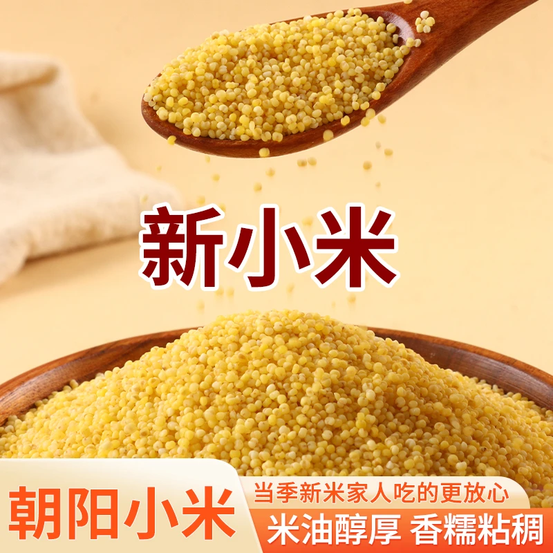 正宗东北朝阳小米正宗黄小米五谷杂粮新小米煮小米粥正品食用