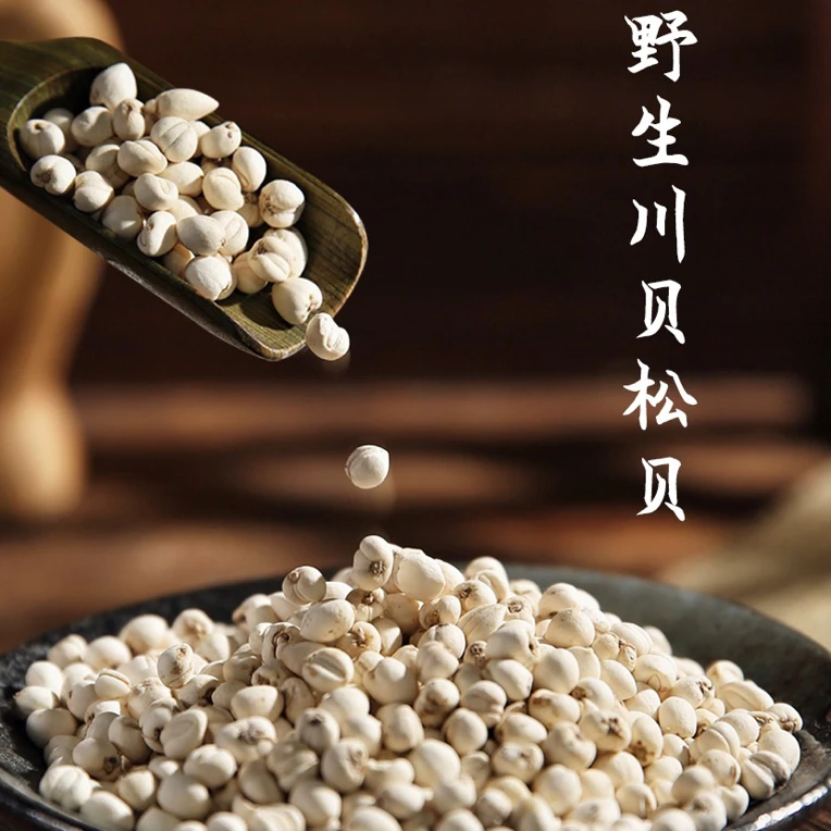 【松贝】珍珠贝怀中抱月资格真货藏区精选川贝母2025新货送礼佳品