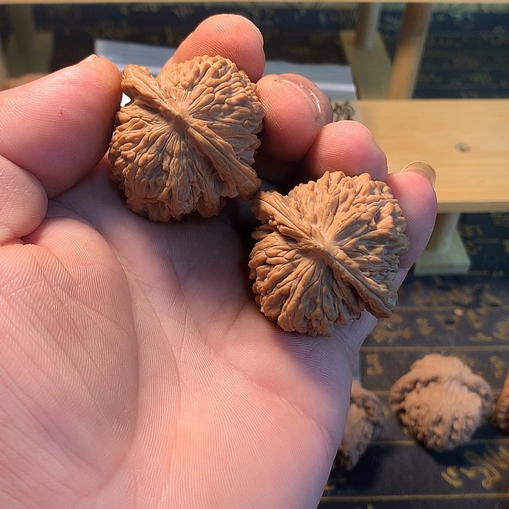 大叶紫檀（黑酸枝木类）