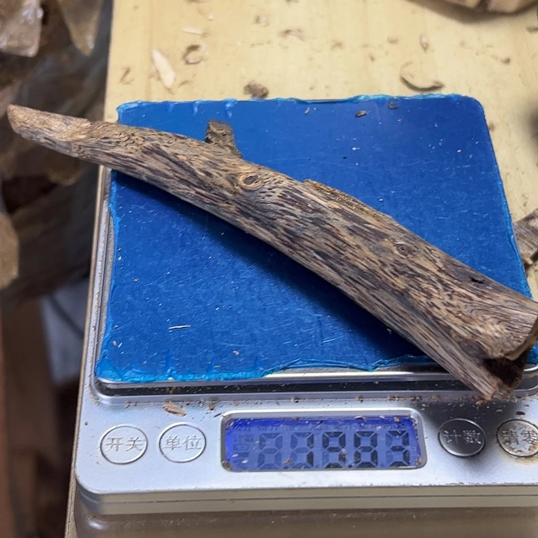 香料绿棋楠乌身圆叶虫漏19克