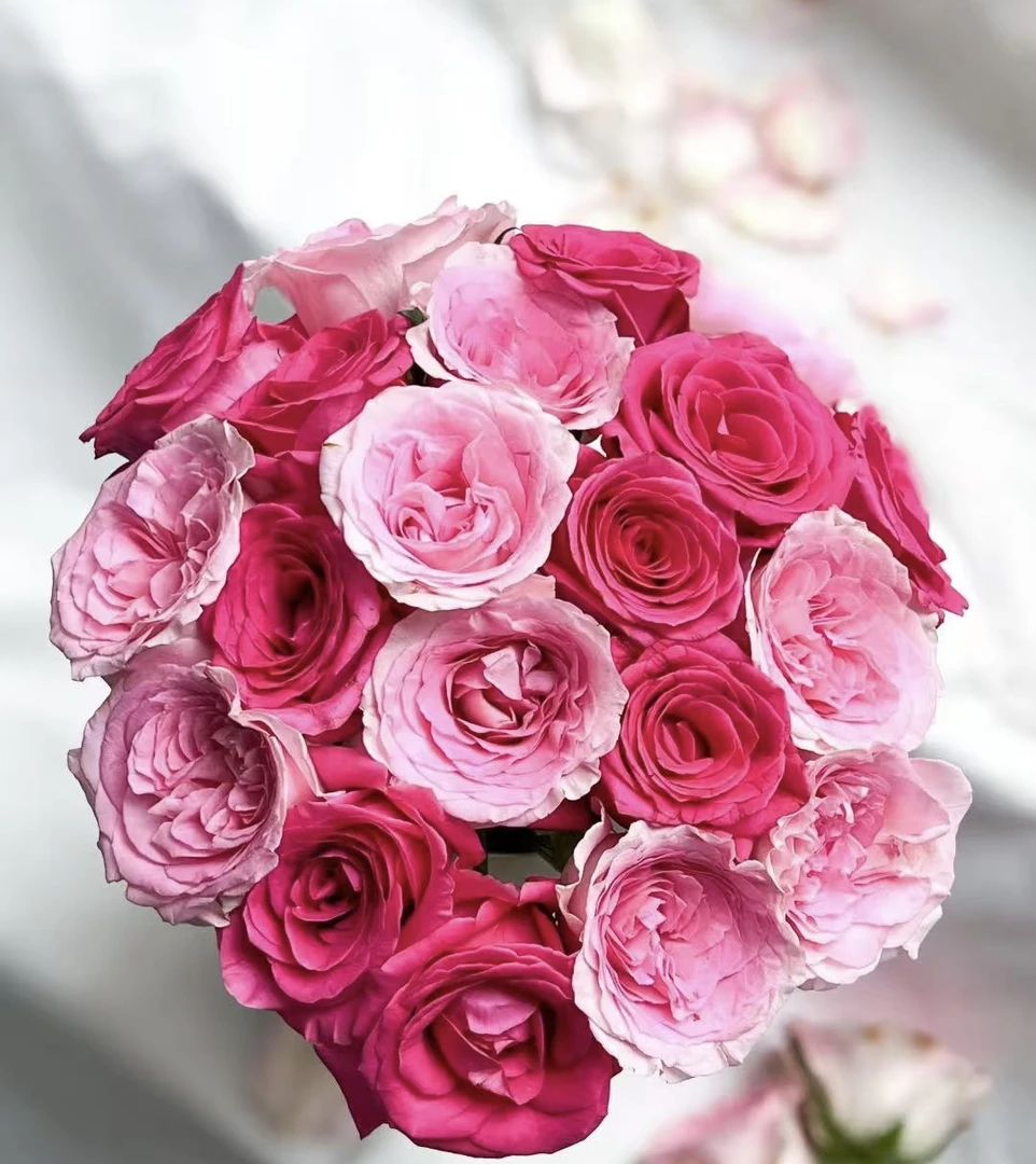 弗洛伊德10枝+洛神10枝+爱沙10枝+洋桔梗1把+配草1把