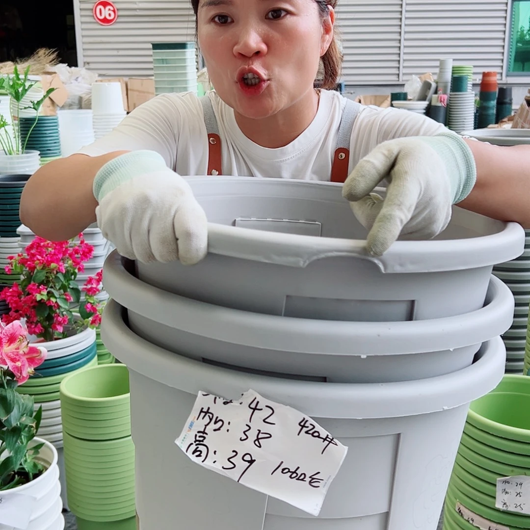 瑕疵玫瑰420#灰白色3个无托