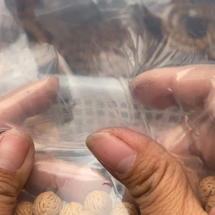 宝***藏银S925散发170元优惠活动