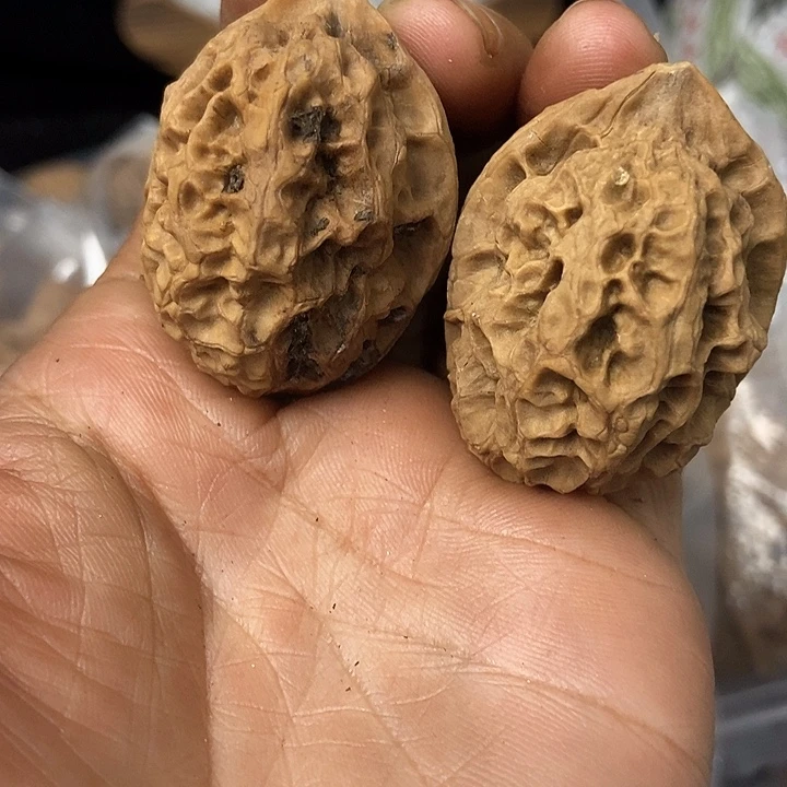 文玩核桃把件云南铁核桃基地33