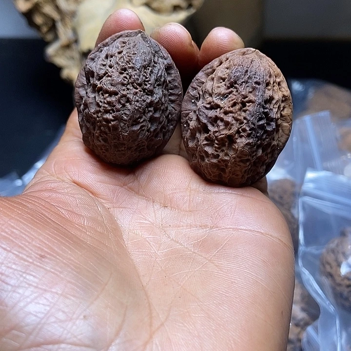 把件文玩核桃云南铁核桃基地29
